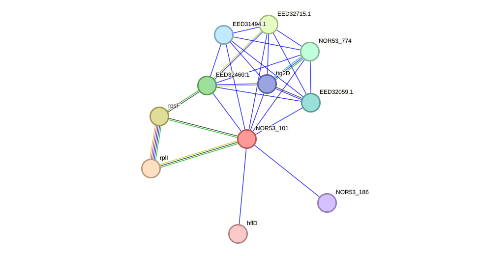 STRING protein interaction network