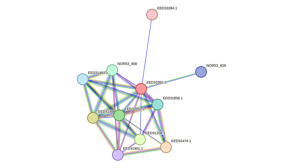 STRING protein interaction network