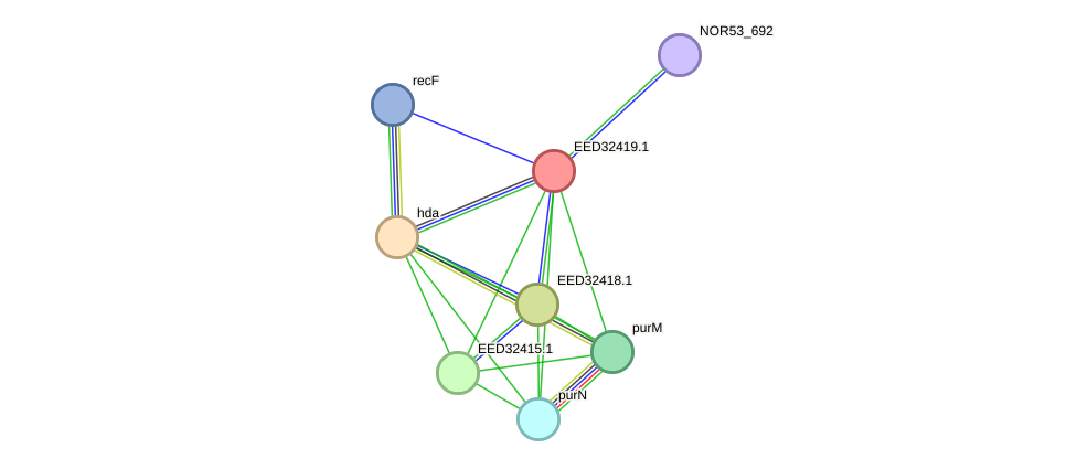 STRING protein interaction network