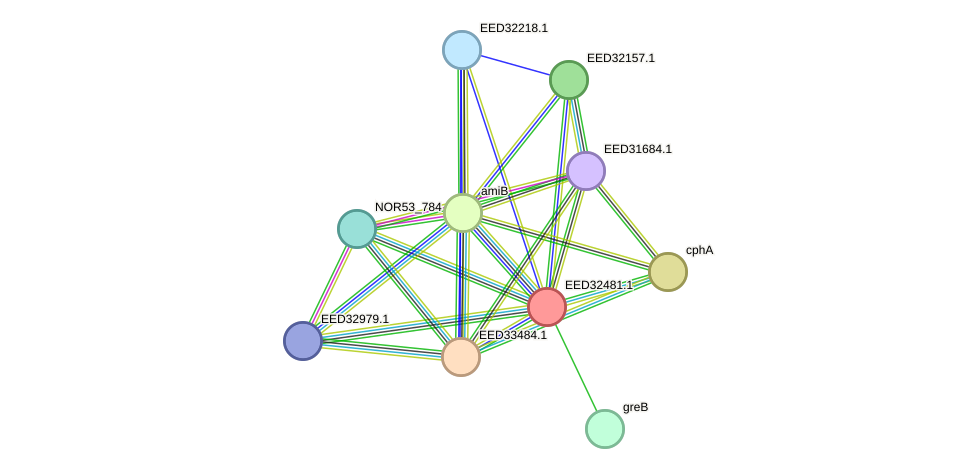 STRING protein interaction network