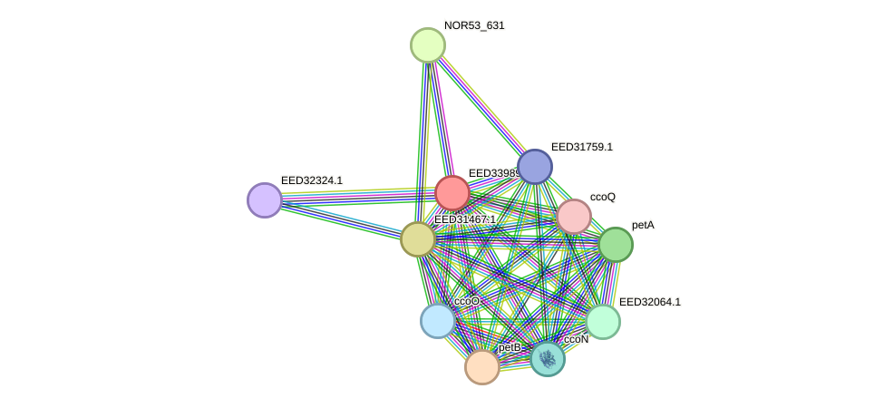 STRING protein interaction network