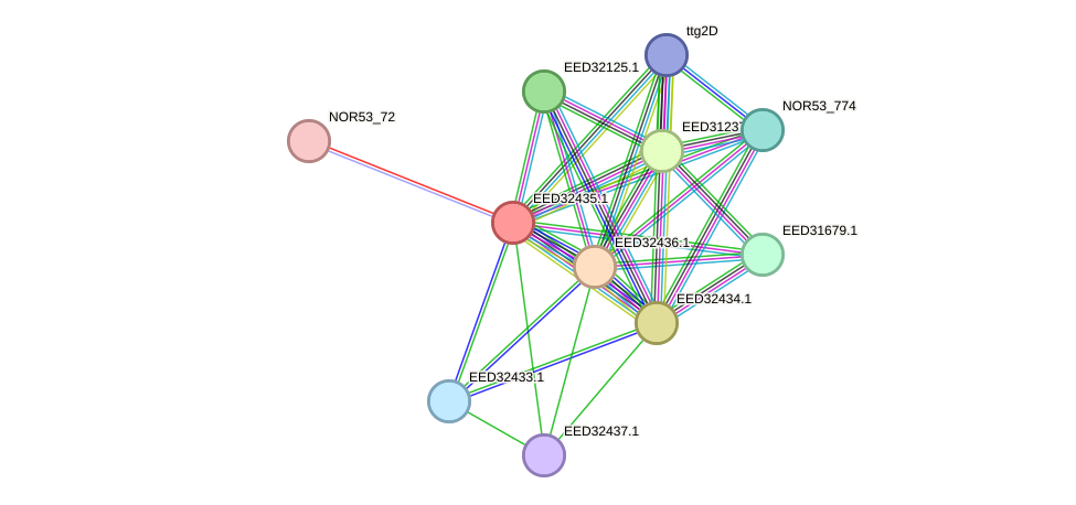 STRING protein interaction network