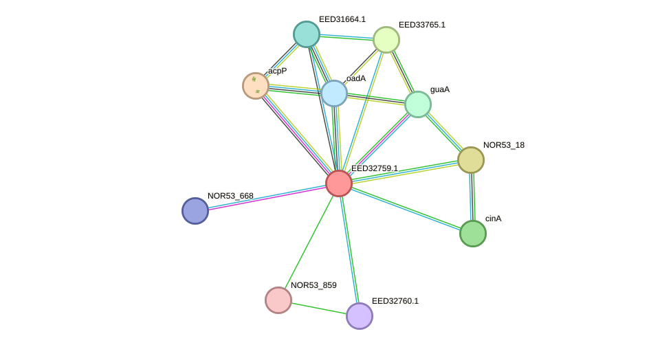 STRING protein interaction network