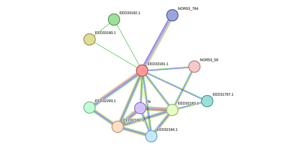 STRING protein interaction network