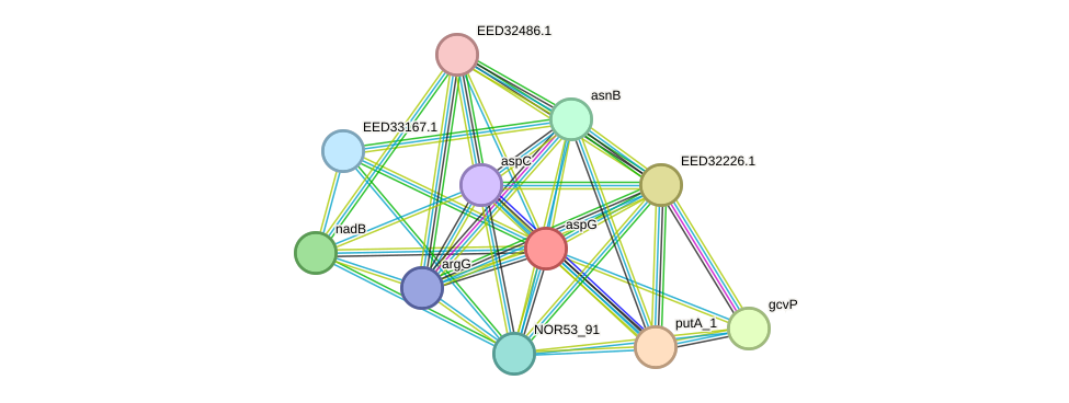 STRING protein interaction network