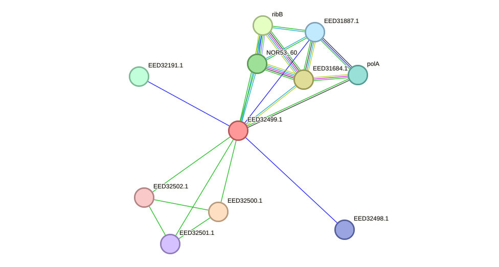 STRING protein interaction network