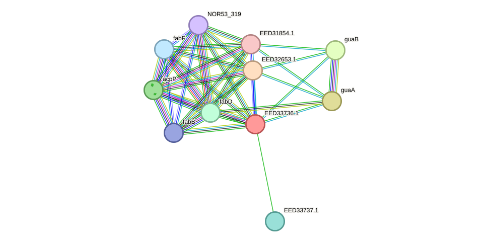 STRING protein interaction network