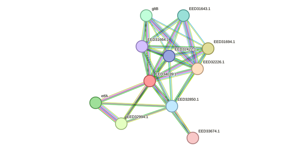 STRING protein interaction network