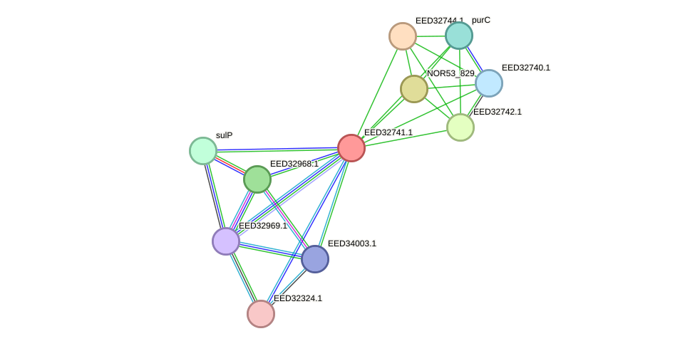 STRING protein interaction network