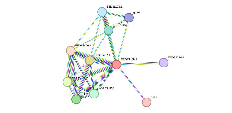 STRING protein interaction network