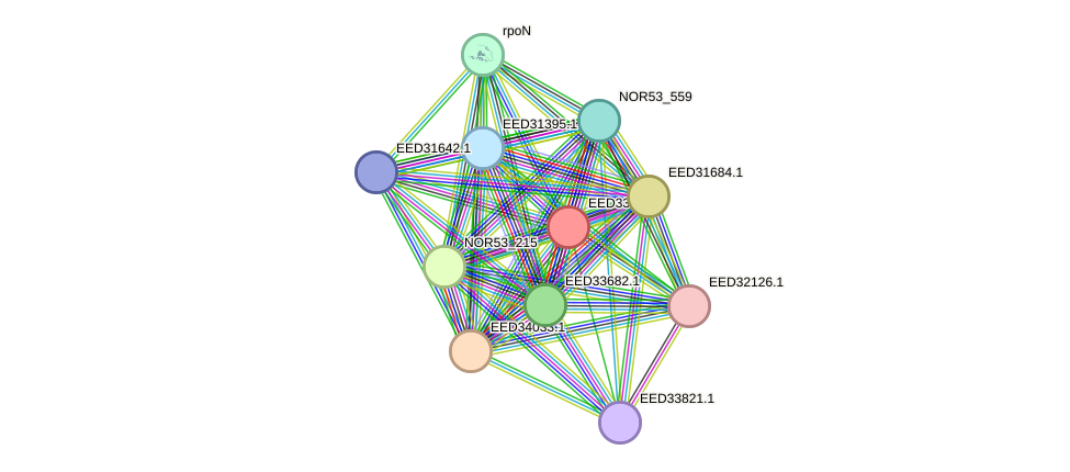 STRING protein interaction network