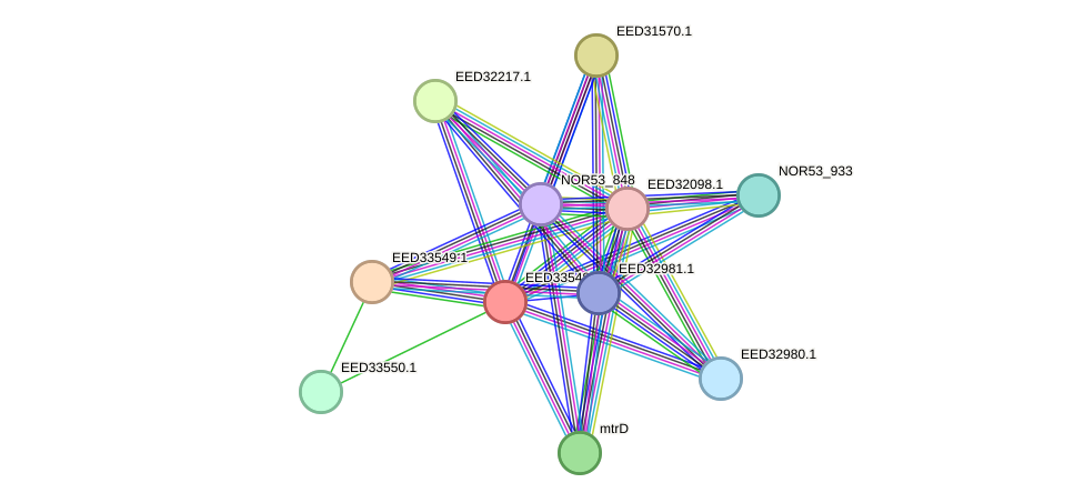 STRING protein interaction network