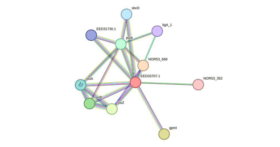 STRING protein interaction network