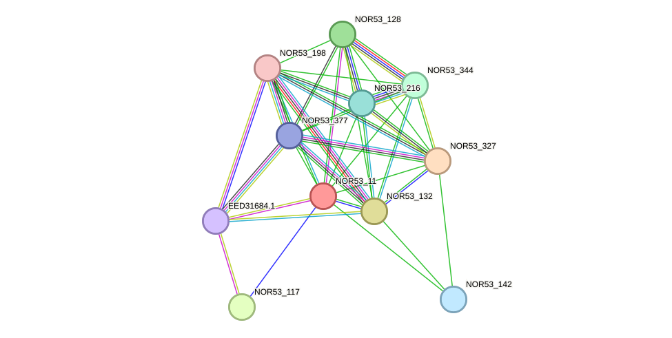 STRING protein interaction network