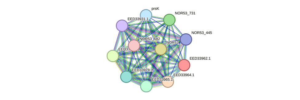 STRING protein interaction network