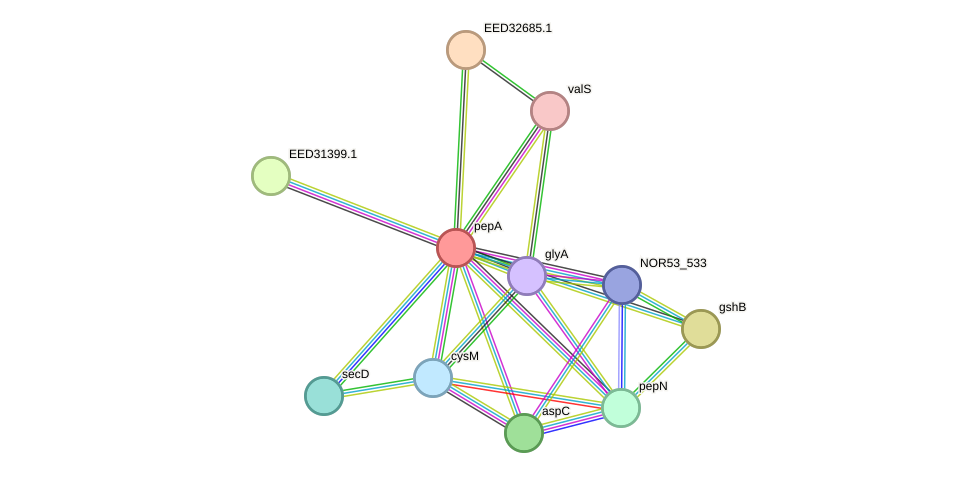 STRING protein interaction network