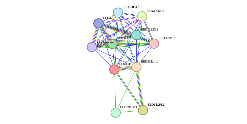 STRING protein interaction network