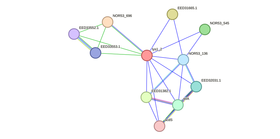 STRING protein interaction network