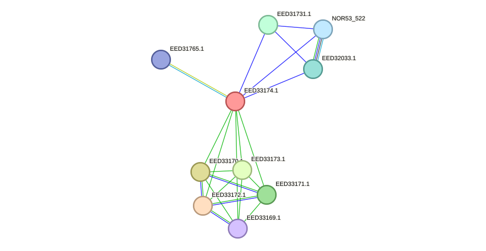 STRING protein interaction network