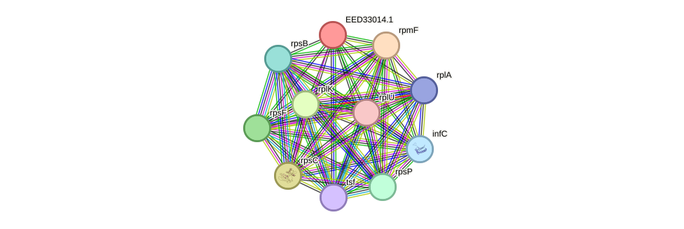 STRING protein interaction network