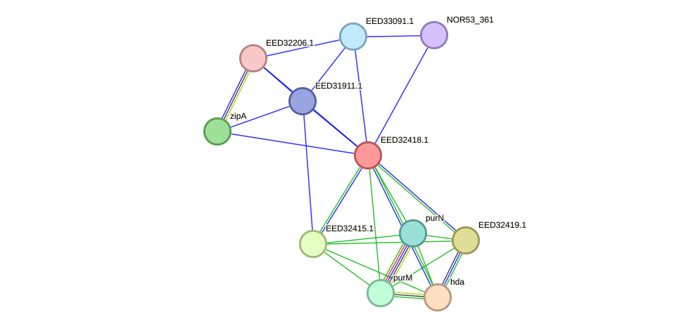 STRING protein interaction network