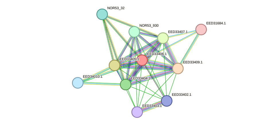 STRING protein interaction network