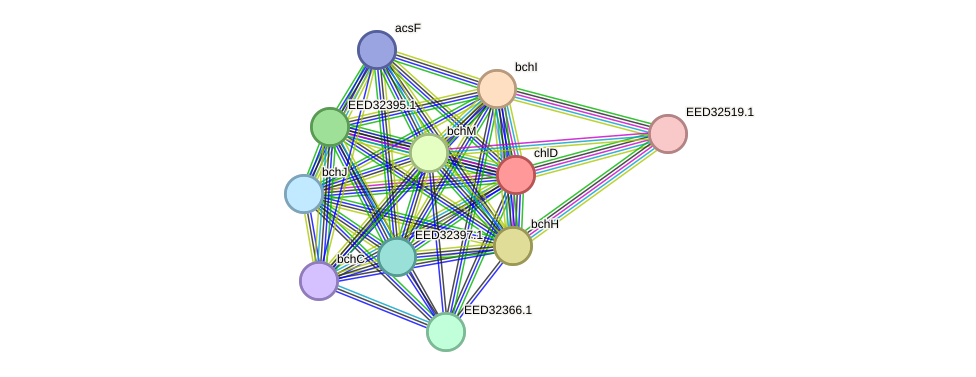 STRING protein interaction network
