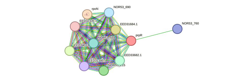 STRING protein interaction network