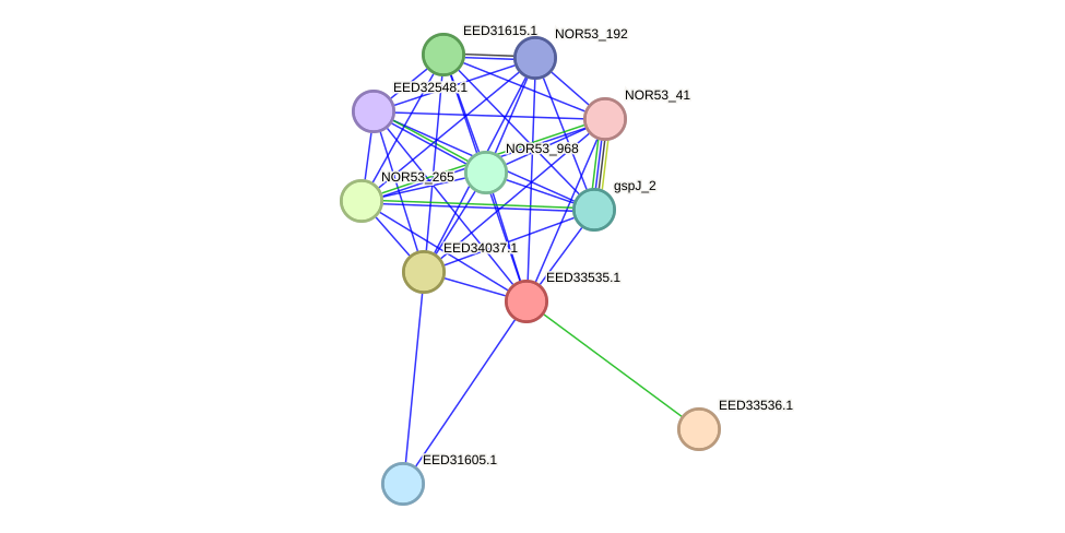 STRING protein interaction network