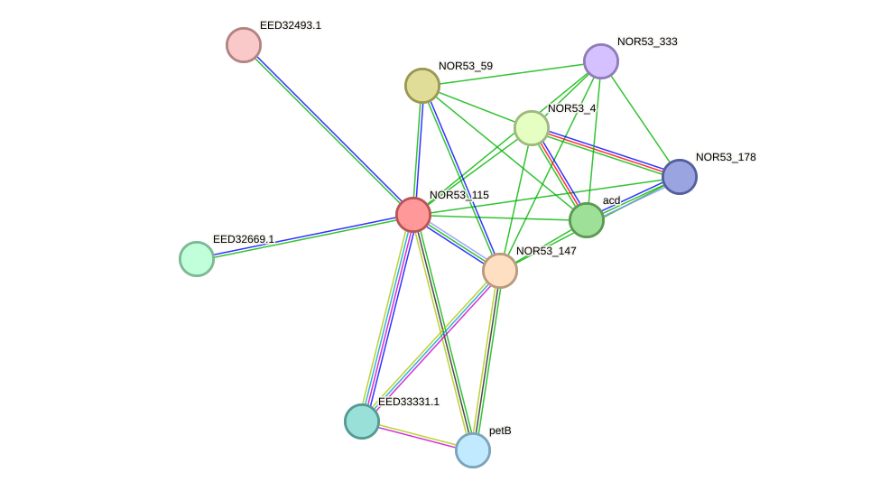 STRING protein interaction network