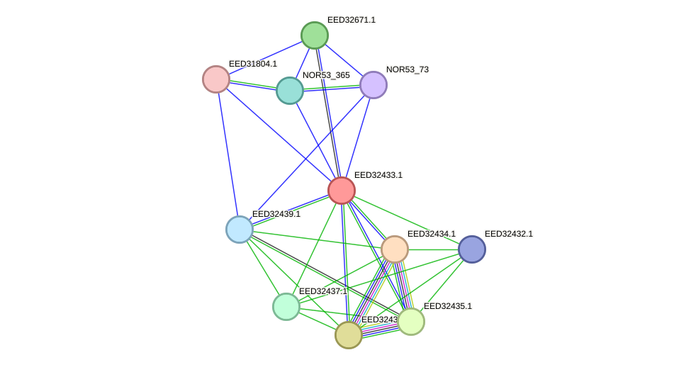 STRING protein interaction network