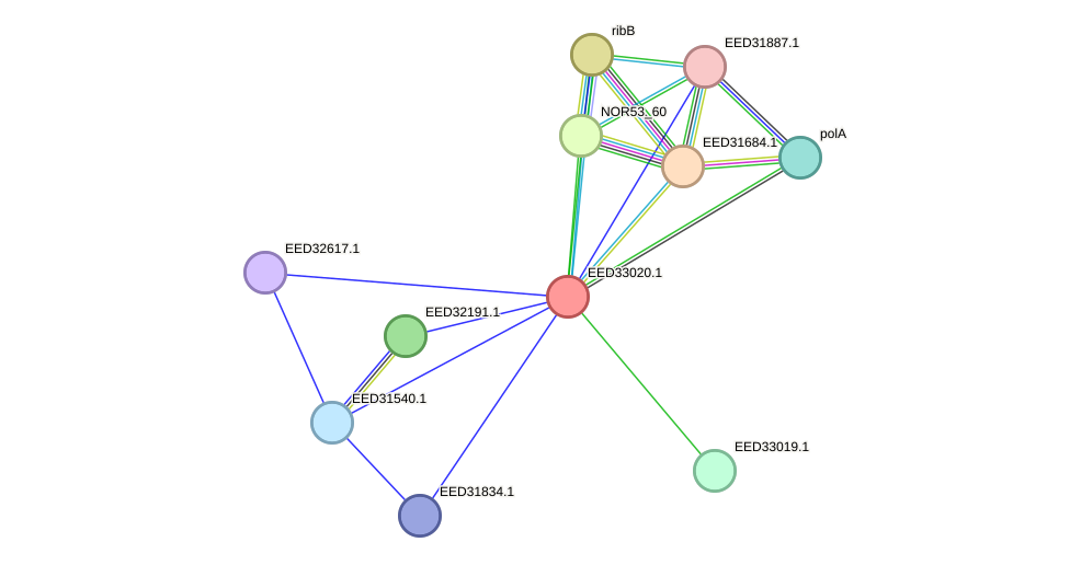 STRING protein interaction network