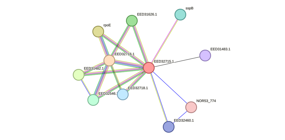 STRING protein interaction network