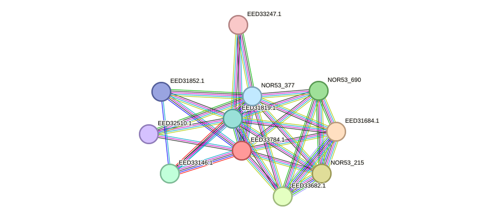STRING protein interaction network