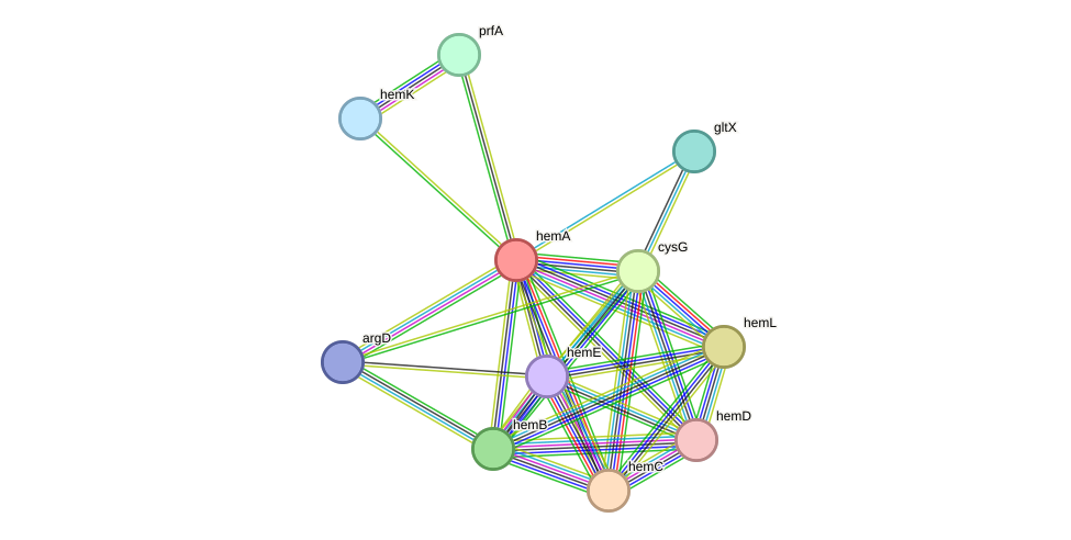 STRING protein interaction network