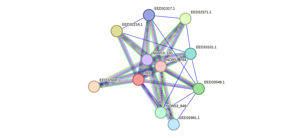 STRING protein interaction network