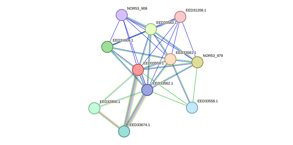 STRING protein interaction network