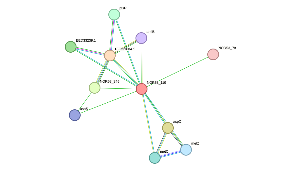 STRING protein interaction network