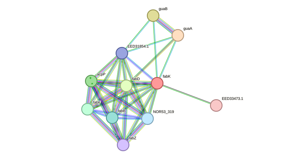 STRING protein interaction network