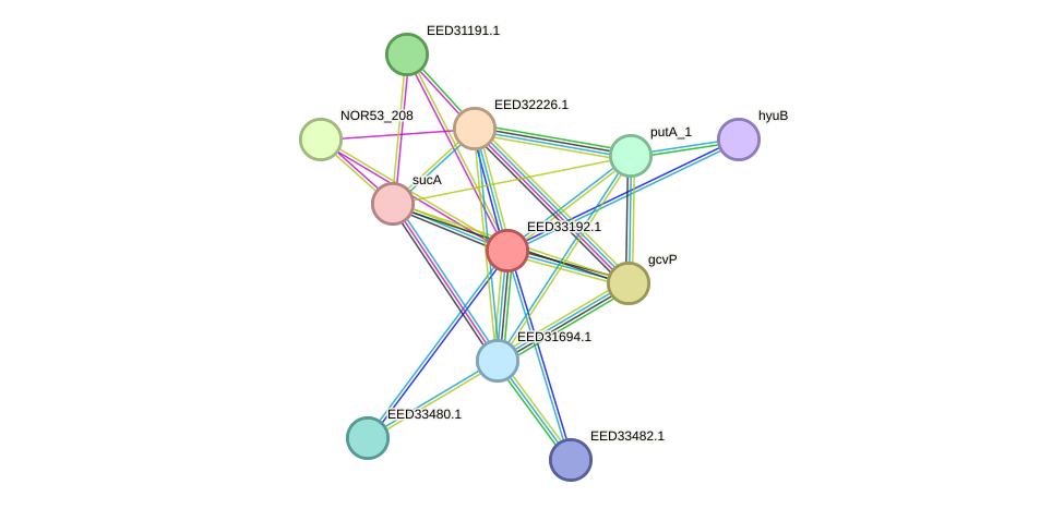 STRING protein interaction network