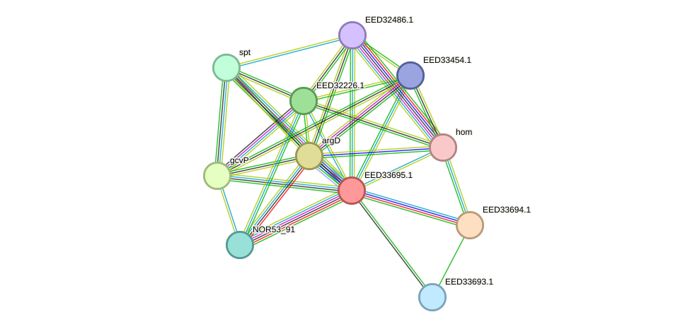 STRING protein interaction network