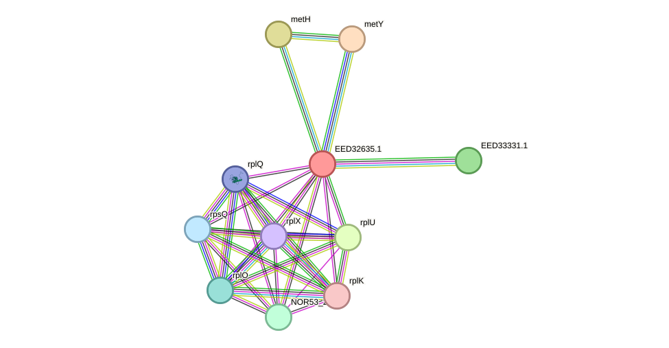 STRING protein interaction network