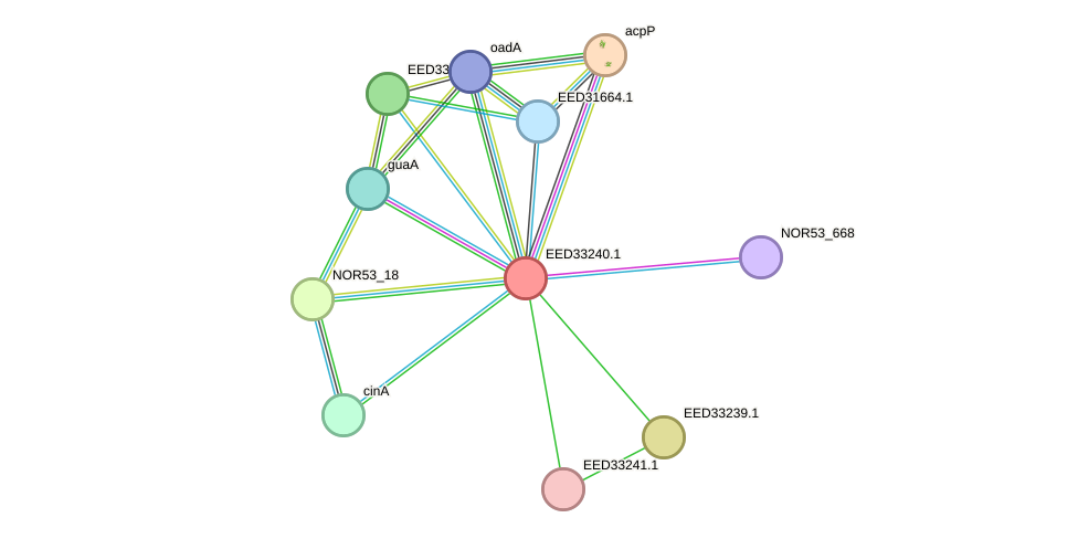 STRING protein interaction network