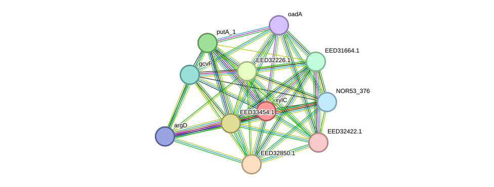 STRING protein interaction network