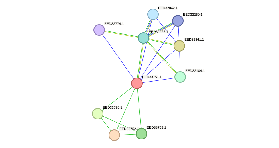 STRING protein interaction network