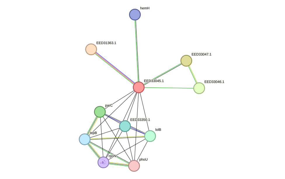 STRING protein interaction network