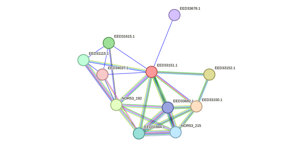 STRING protein interaction network