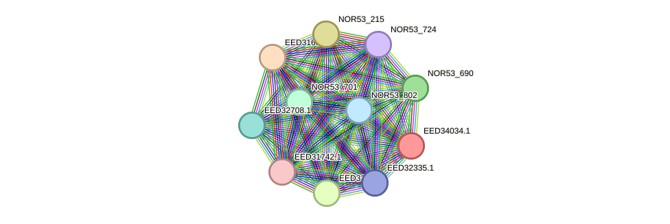 STRING protein interaction network
