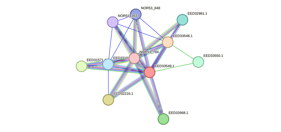 STRING protein interaction network
