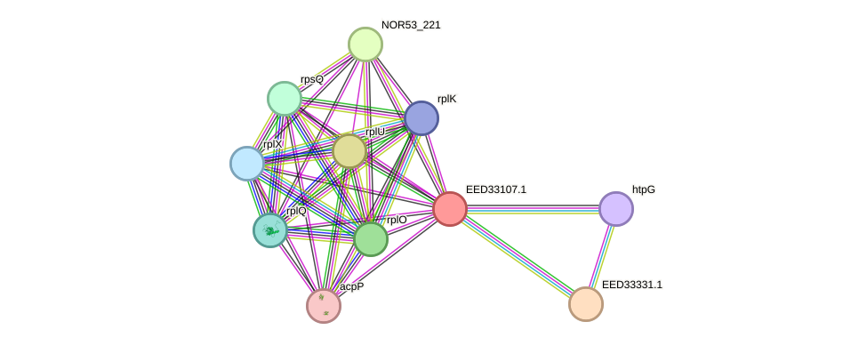 STRING protein interaction network